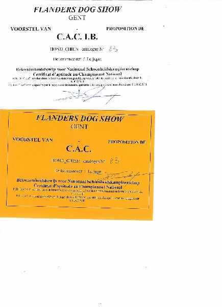 Florida de l'argentin du Quercy Blanc - CACIB-CACS