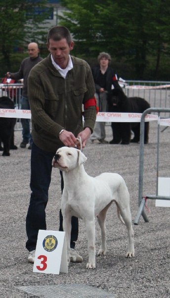 Chelsea de puerto vista - 3ème Excellent