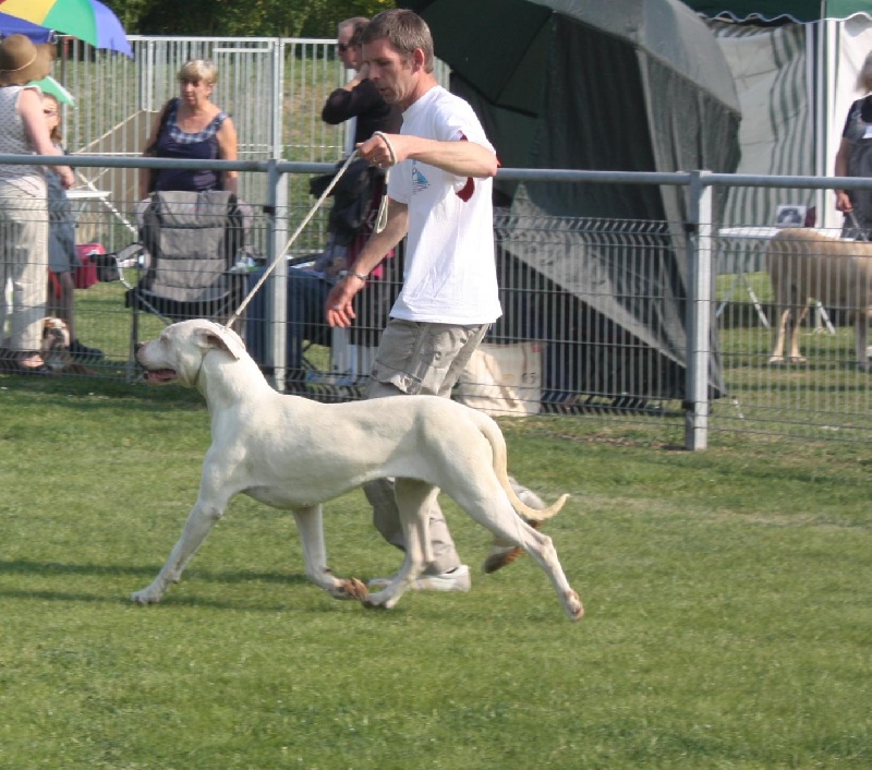 Florida de l'argentin du Quercy Blanc - 1ère Excellent Meilleure Jeune