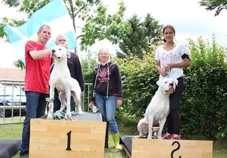 Lucho du Domaine du Sable Blanc - Meilleur Jeune Mâle