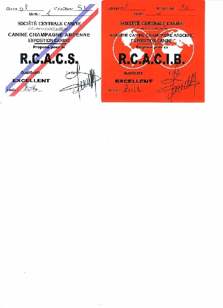 Florida de l'argentin du Quercy Blanc - RES.CACIB - RES.CACIB