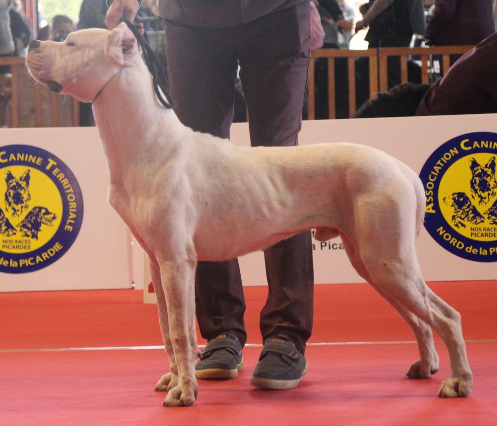 Lucho du Domaine du Sable Blanc - 3ème très bon