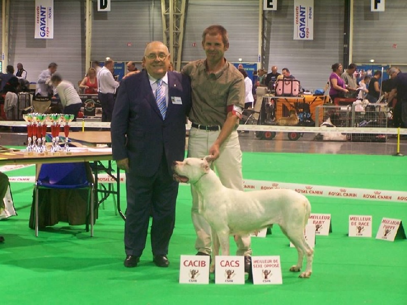 Florida de l'argentin du Quercy Blanc - CACIB/CACS/Meilleur sexe opposé