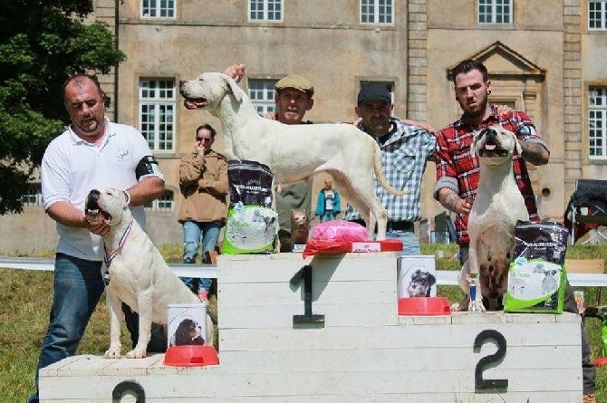 Florida de l'argentin du Quercy Blanc - 1ere excellente