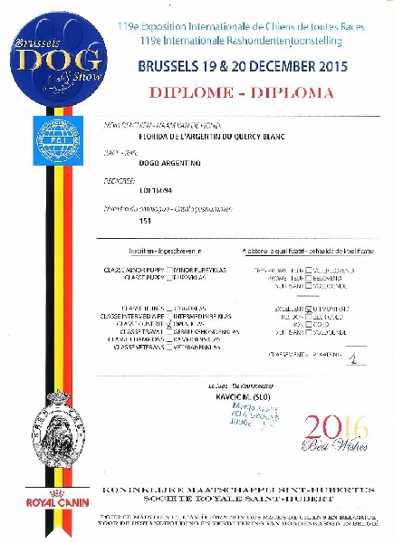 Florida de l'argentin du Quercy Blanc - RES.CACIB - RES.CACIB