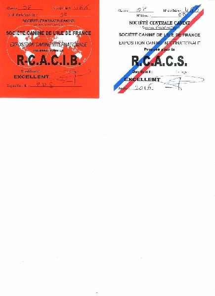 Florida de l'argentin du Quercy Blanc - RES.CACIB - RES.CACIB