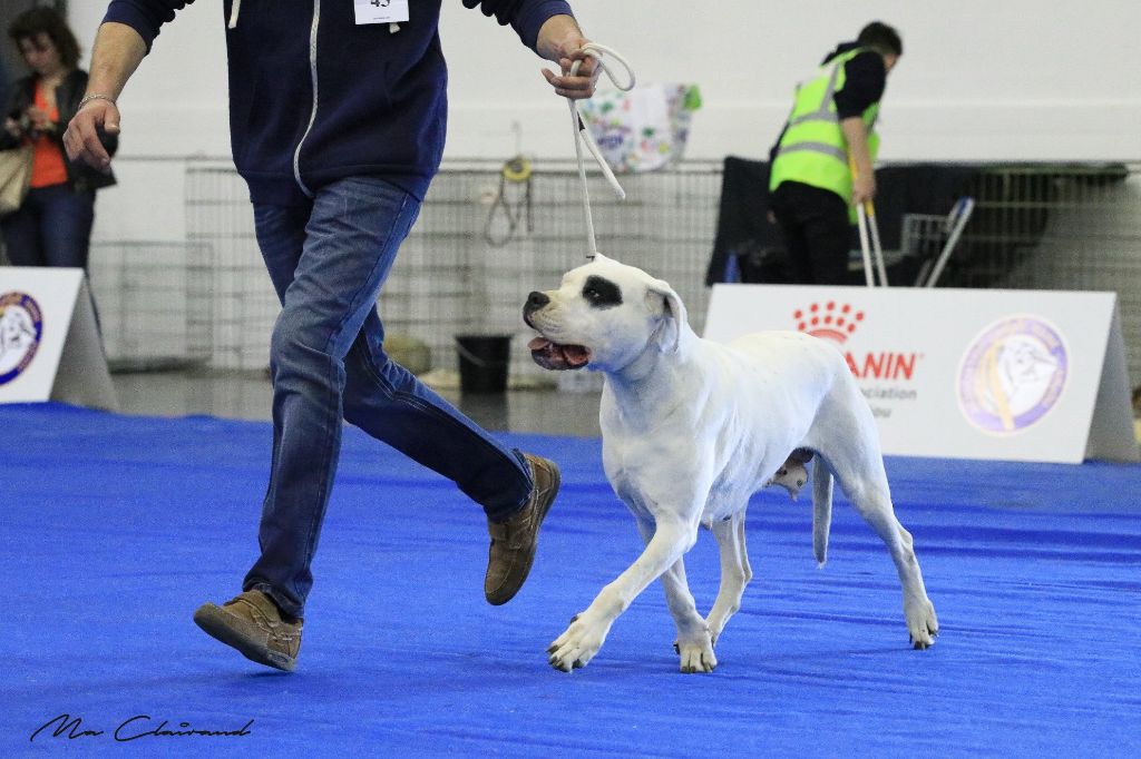 Kaya verdes pampas - Excellent non classé