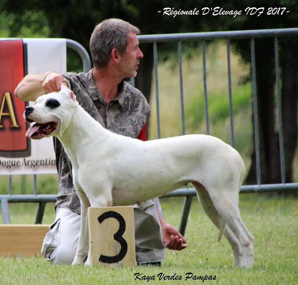 Kaya verdes pampas - Classe Intermédiaire femelle - 3ème Excellent