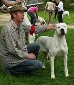 Florida de l'argentin du Quercy Blanc - 1ere excellent CACS Meilleur de sexe opposé