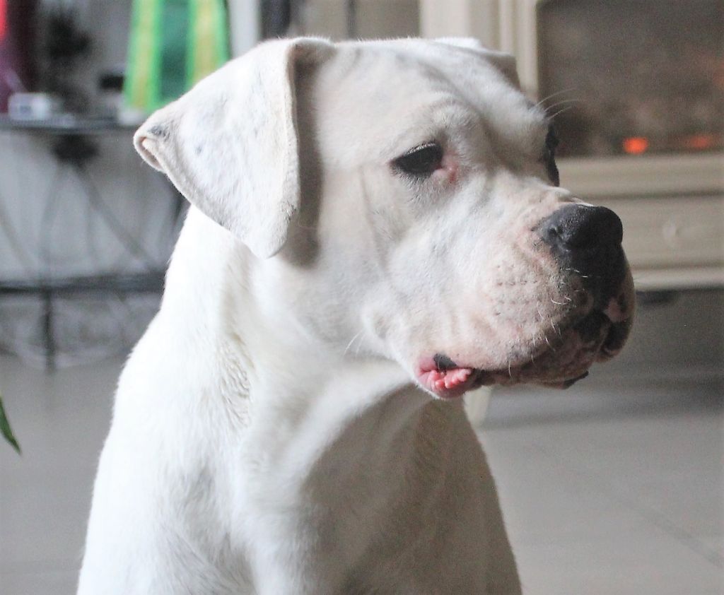 Kaya verdes pampas - Très bon