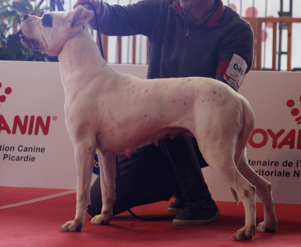 Kaya verdes pampas - 2ème Bon