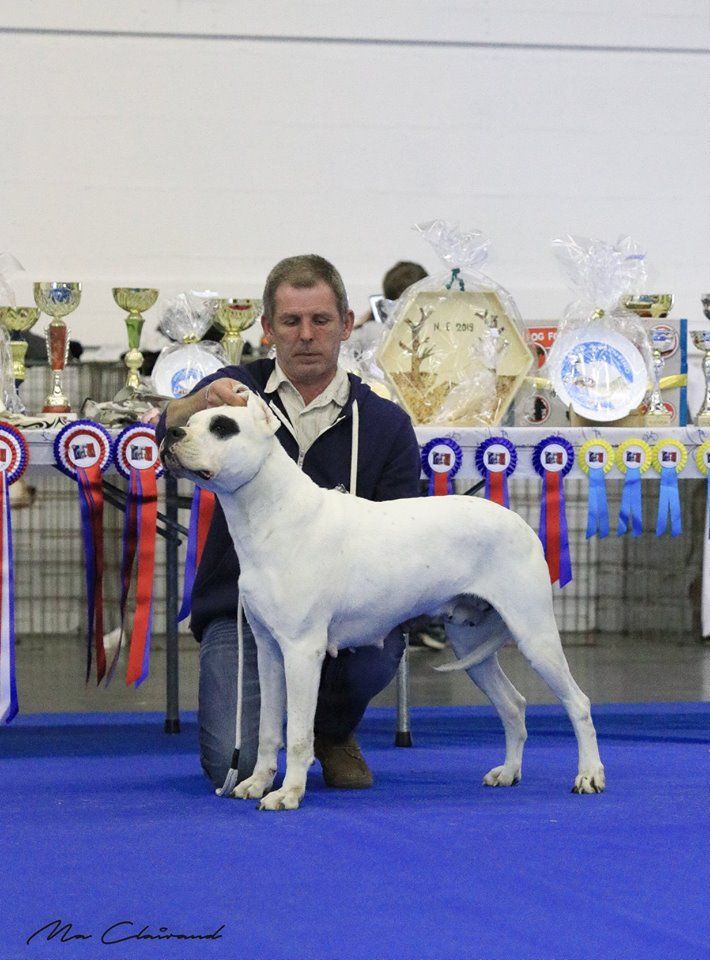 Kaya verdes pampas - 4ème Excellent