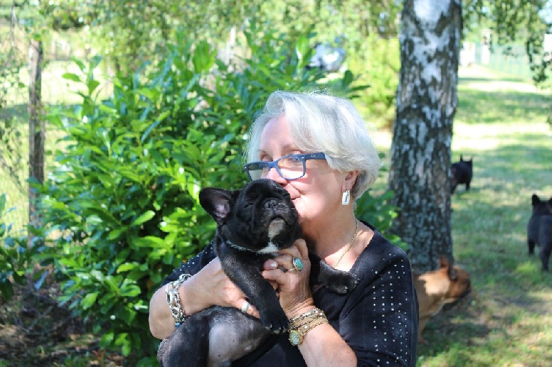 Publication : des Bourbon d'Allier Auteur : Y.VINCENT