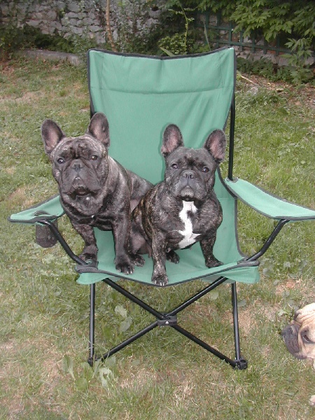 Adela des Bourbon d'Allier