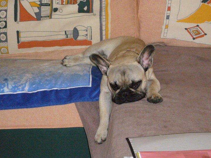 Dagobert des Bourbon d'Allier