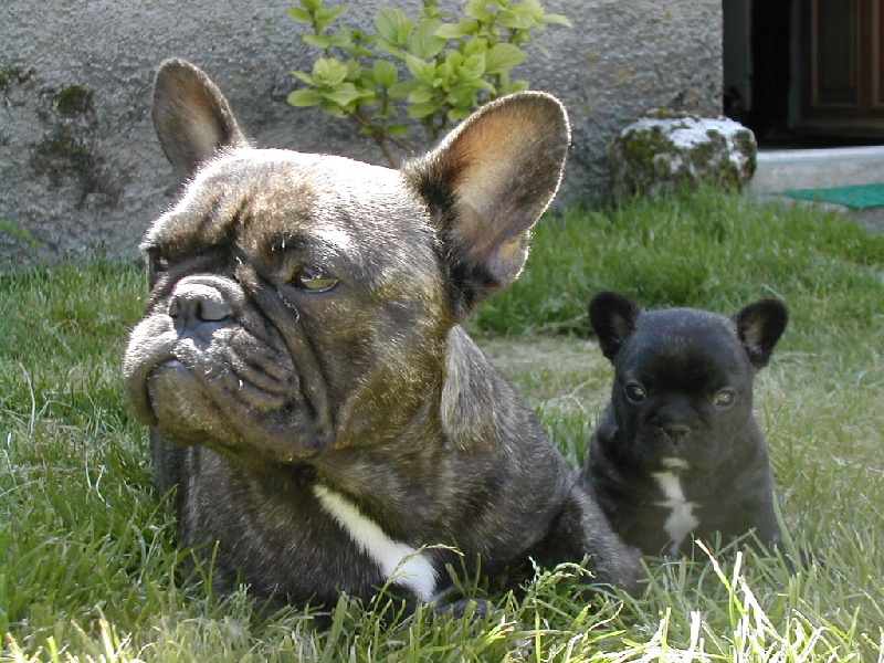 Adela des Bourbon d'Allier