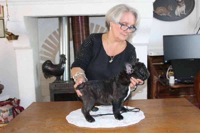 Publication : des Bourbon d'Allier Auteur : Y.VINCENT