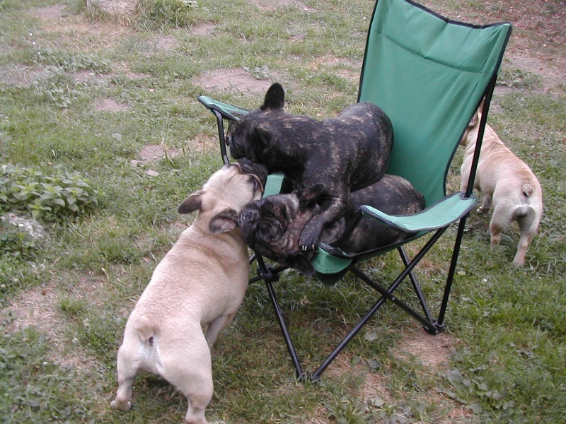 Adela des Bourbon d'Allier