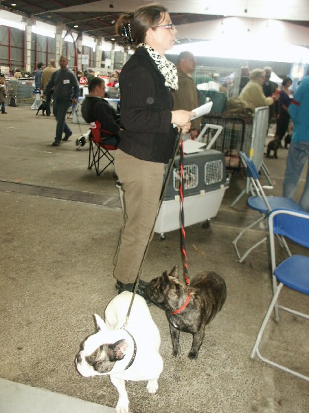 Al capone du terrier du st sépulcre des Bourbon d'Allier