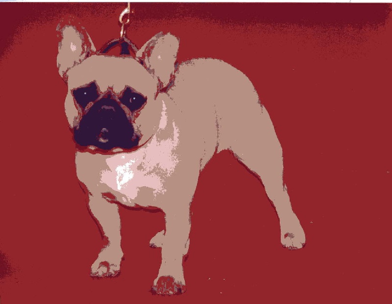 Dorine des Bourbon d'Allier - RESERVE de CACS cl Ouverte