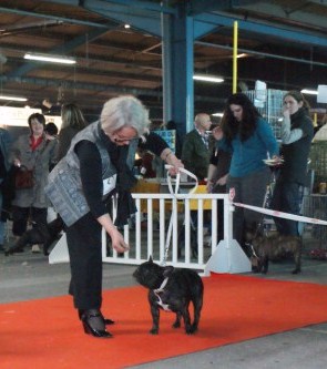 Adela des Bourbon d'Allier - 4 ieme Excellent Cl Ouverte