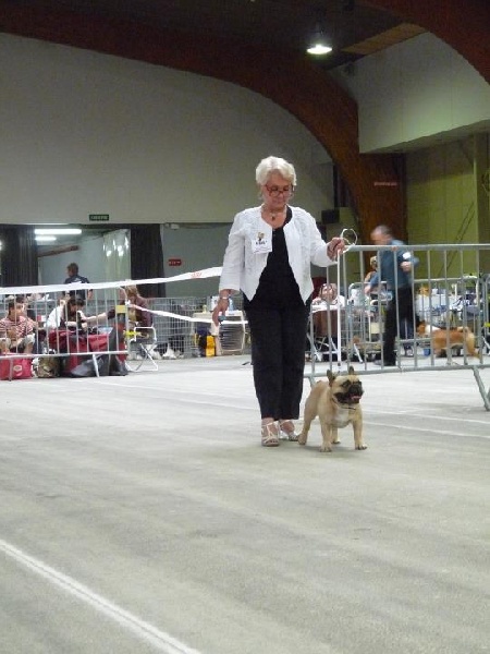 Dorine des Bourbon d'Allier - 1 ere EX/CACS