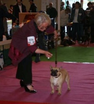 Dorine des Bourbon d'Allier - 1er EXCELLENT / cl JEUNE