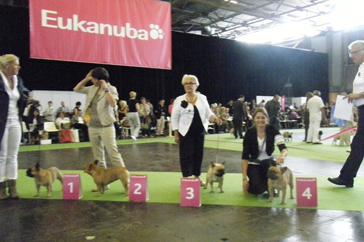 Dorine des Bourbon d'Allier - 3iéme EXCELLENT