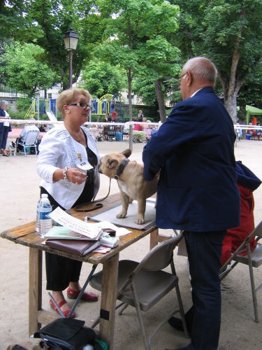 Dorine des Bourbon d'Allier - 2e EXCELLENT