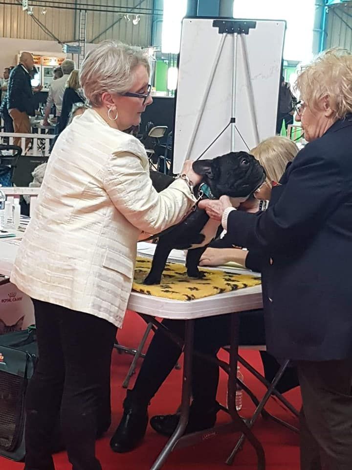 Mistral-gagnant Des Emeraudes De Béryl - TRES BON CLASSE..OUVERTE