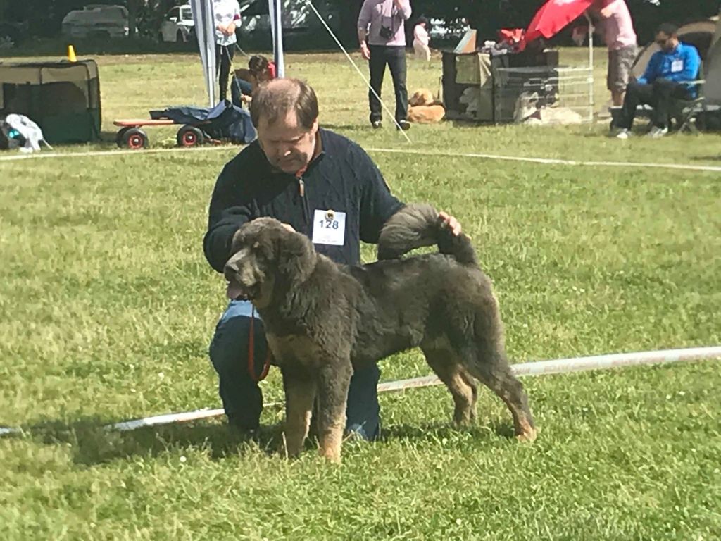Qiangsou de Dzogtchen - Trés Prometteur