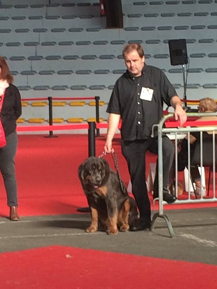 Qiangsou de Dzogtchen - 1ere exc - Meilleur jeune