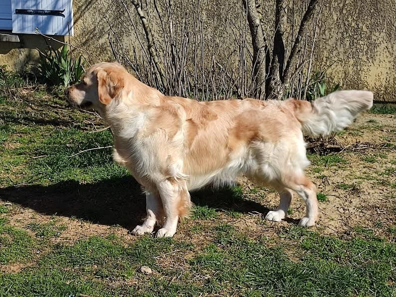 Publication : de la Forêt de Sivens