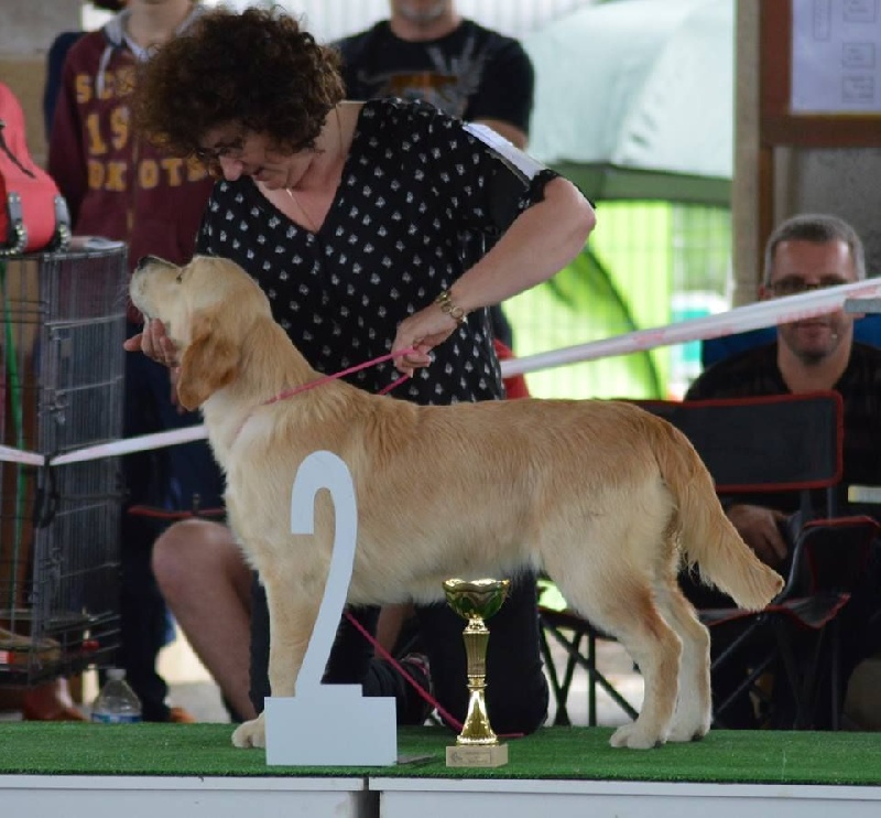 TR. Live your dream de la Forêt de Sivens - Très Prometteur Meilleur Baby et 2e BIS Baby