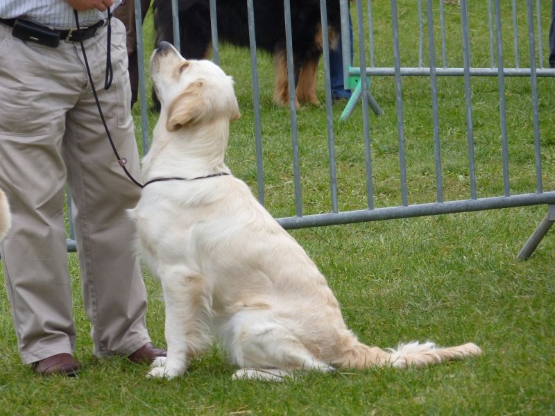 Ever for ever d of Sim - 3ème Excellent