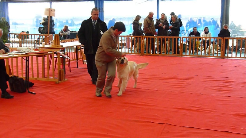 Ever for ever d of Sim - 2ème Excellent