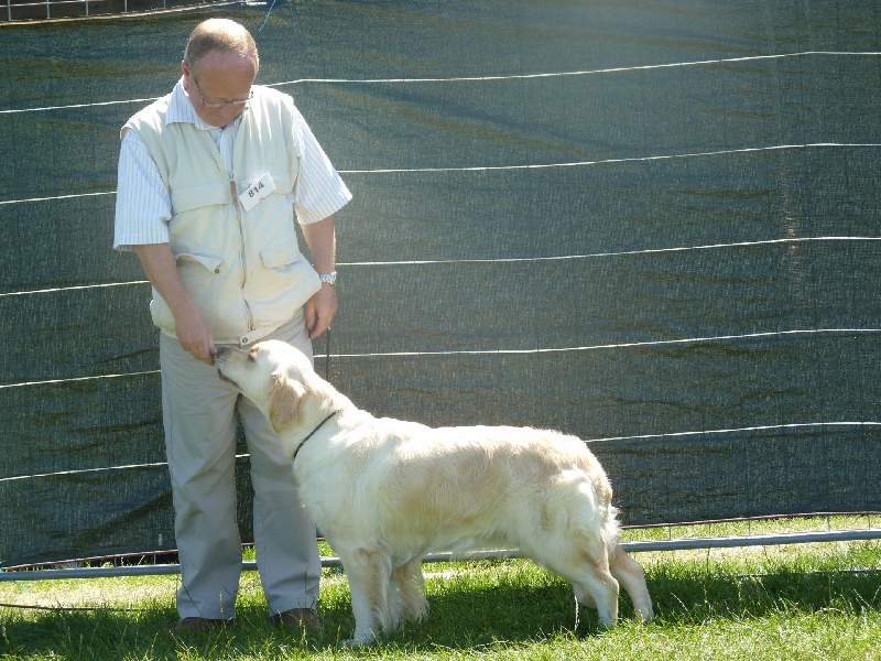 Ever for ever d of Sim - 4ème Excellent