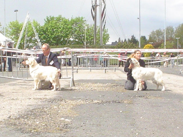 Ever for ever d of Sim - 3ème Excellent