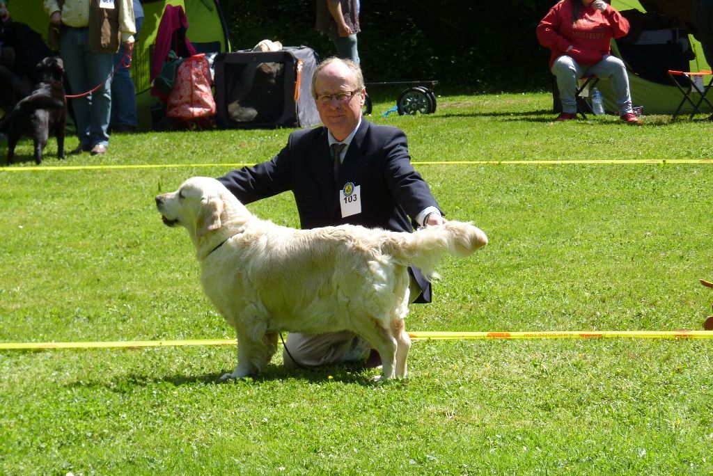 Ever for ever d of Sim - 2ème Excellent