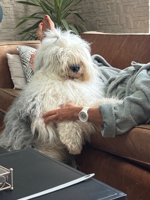 Twist again of Mary People