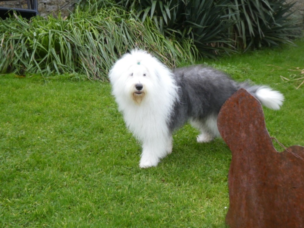 Twist again of Mary People