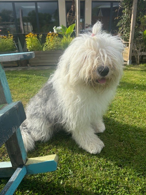 Twist again of Mary People