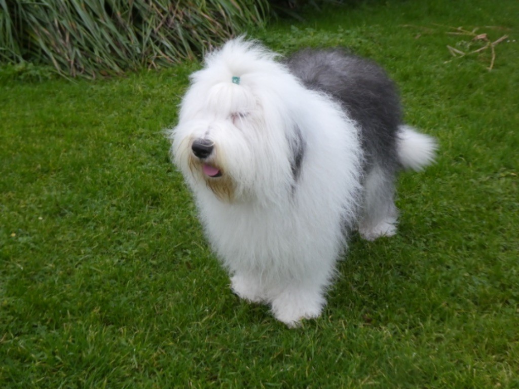 Twist again of Mary People