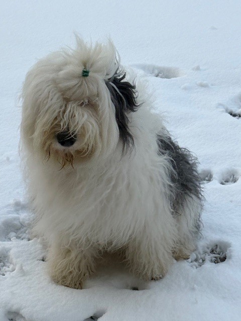 Twist again of Mary People