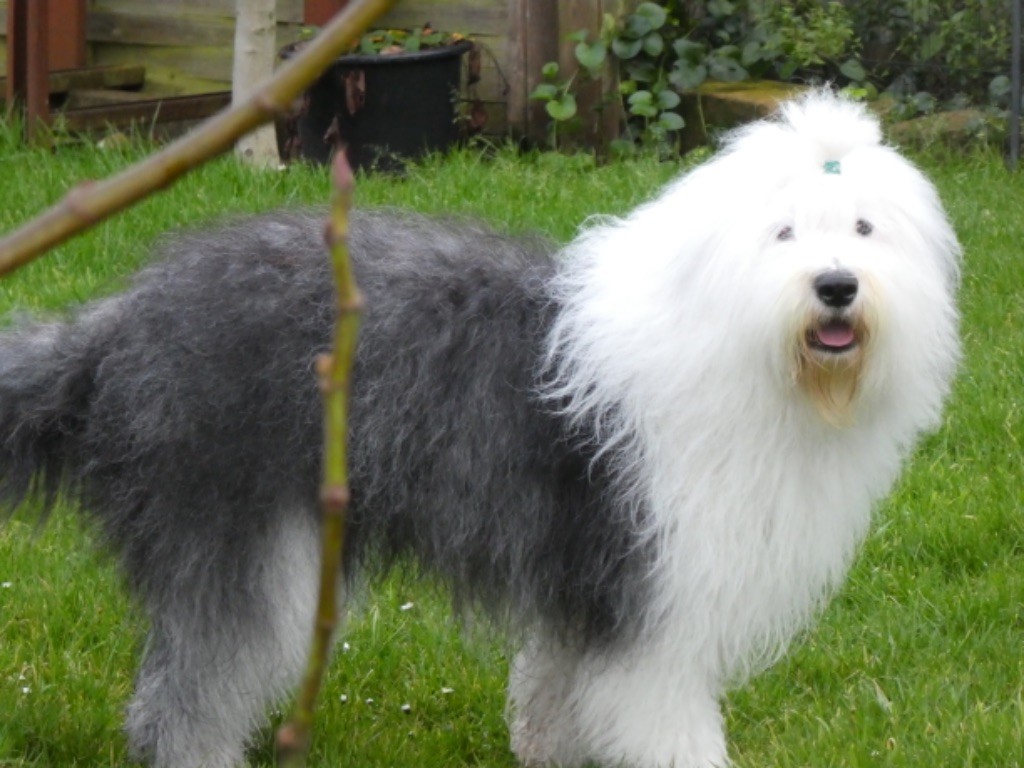 Twist again of Mary People