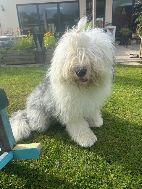 Twist again of Mary People