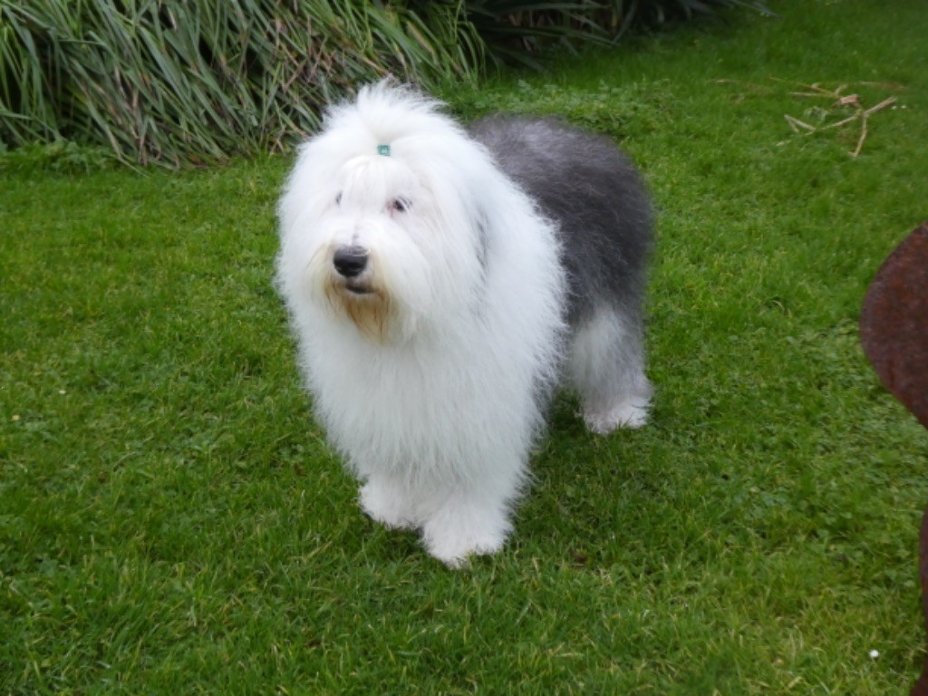 Twist again of Mary People