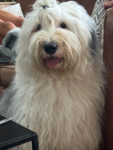 Twist again of Mary People