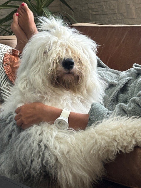 Twist again of Mary People