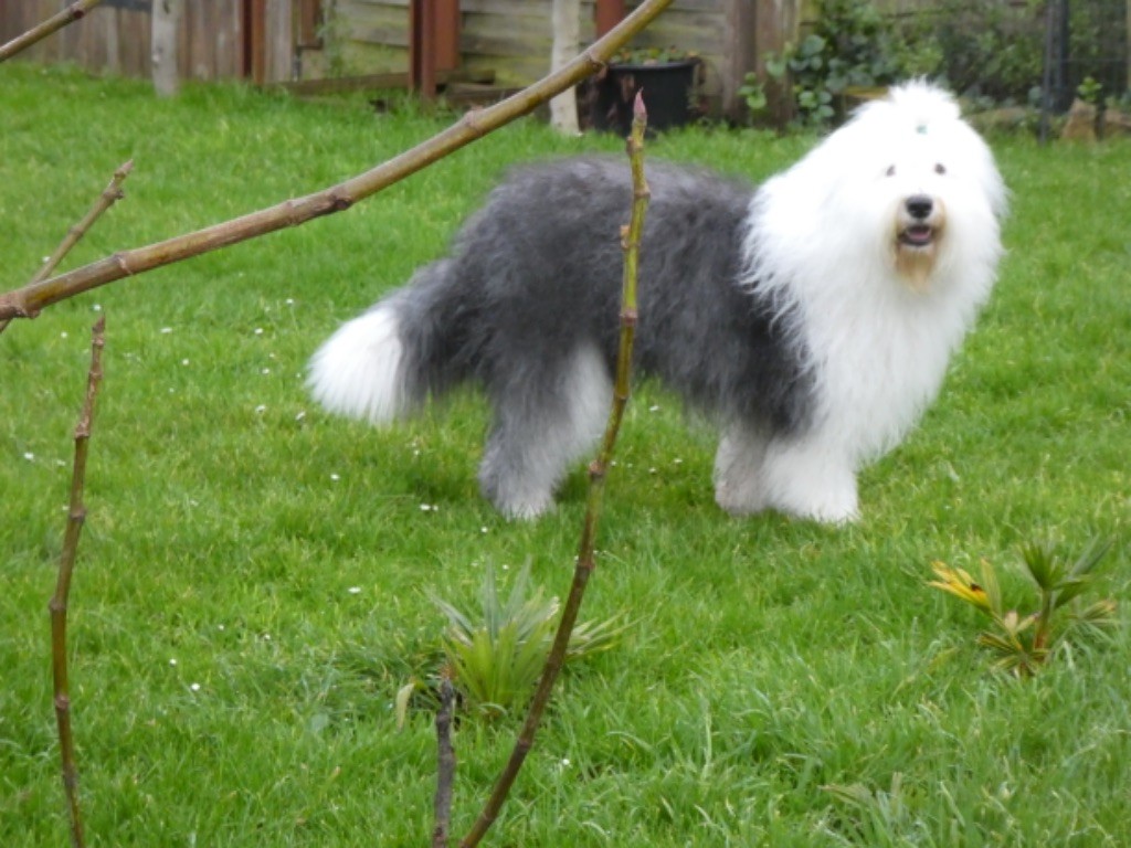 Twist again of Mary People